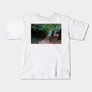 A walk in the woods Kids T-Shirt